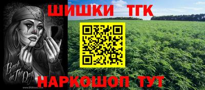 стаф Тула