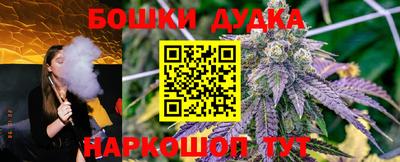 стаф Тула