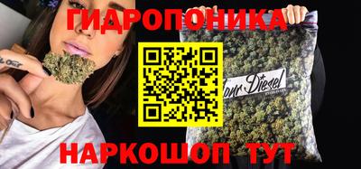 индика Тулун