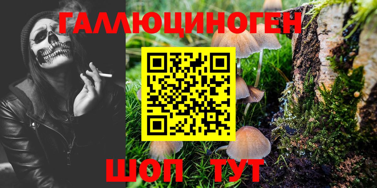 Псилоцибиновые грибы Psilocybe  Вход с VPN  Тулун 